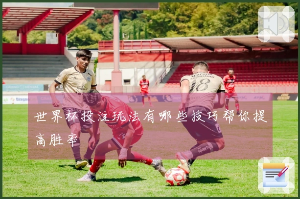 世界杯投注玩法有哪些技巧帮你提高胜率