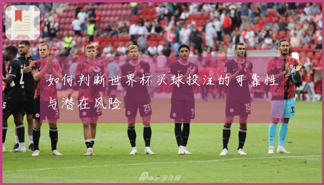 如何判断世界杯买球投注的可靠性与潜在风险