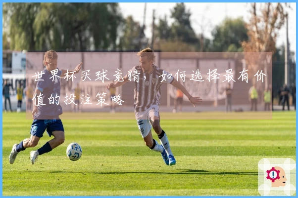 世界杯买球竞猜，如何选择最有价值的投注策略
