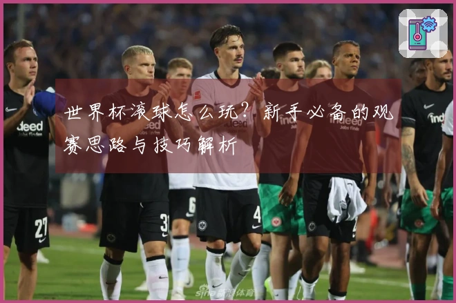 世界杯滚球怎么玩？新手必备的观赛思路与技巧解析
