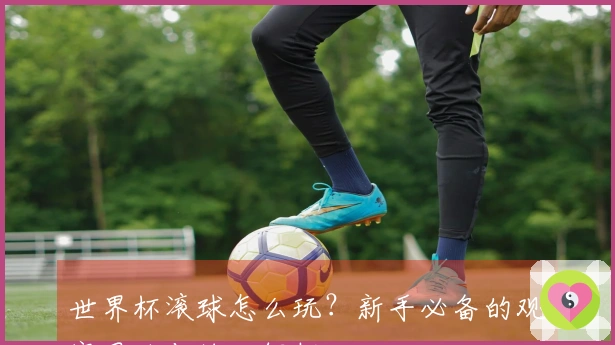 世界杯滚球怎么玩？新手必备的观赛思路与技巧解析