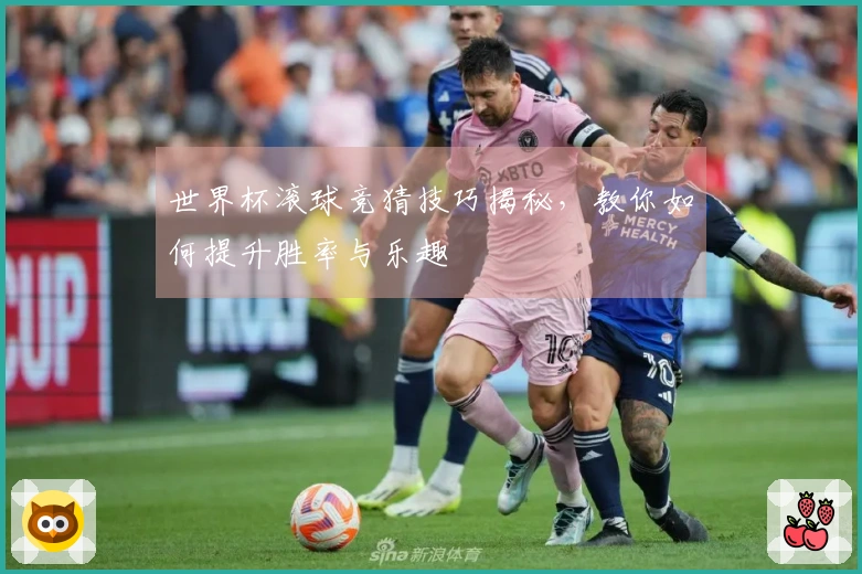 世界杯滚球竞猜技巧揭秘，教你如何提升胜率与乐趣