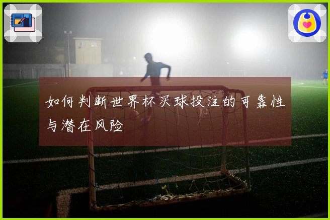 如何判断世界杯买球投注的可靠性与潜在风险