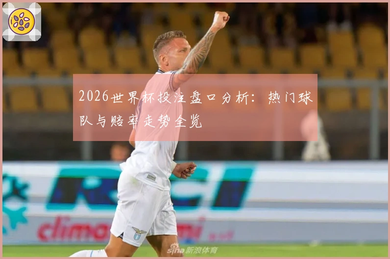 2026世界杯投注盘口分析：热门球队与赔率走势全览